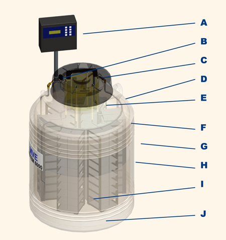 MVE CryoSystem 6000 容器の特徴