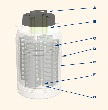 MVE CryoSystem Tank Features