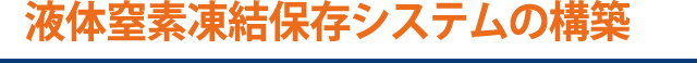 液体窒素凍結保存システムの構築